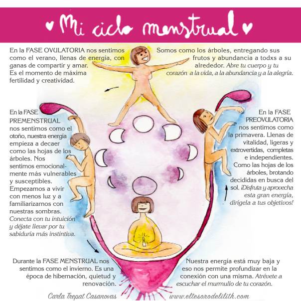 ciclo_menstrual_bien2